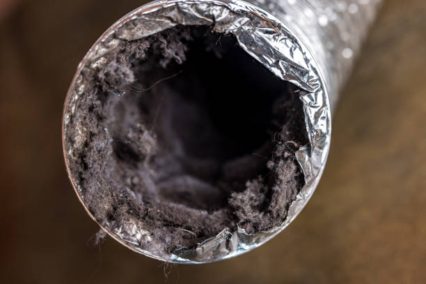 Best Home Air Vent Cleaning  in Stayton, OR