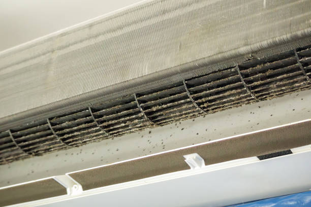 Best Professional Duct Cleaning Services  in Stayton, OR